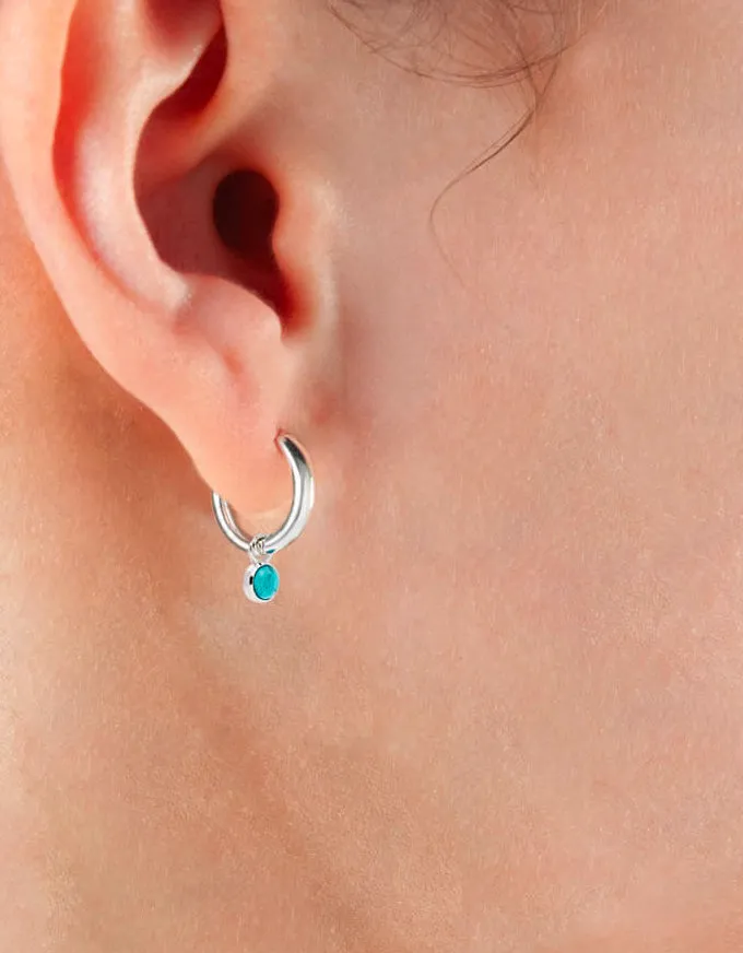 Heavenly Turquoise Silver Earring E6543