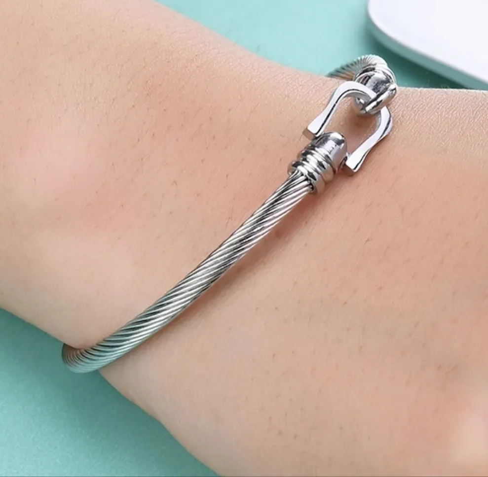 Stainless Steel Horseshoe Bangle